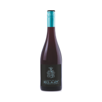Beck in Black 2023 BIO