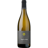 Südtiroler Sauvignon 2022 - 0,75l - Wassererhof