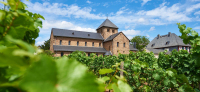 Hafenblick Riesling 2023
