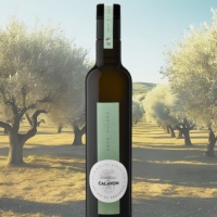 Fruité verte Olive Oil 2023 Premium