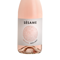 Sesame Rose 2025