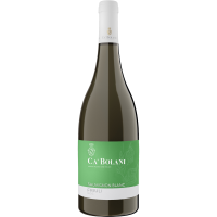 Sauvignon Friuli Aquileia DOC 2025 - 0,75l - Ca’...