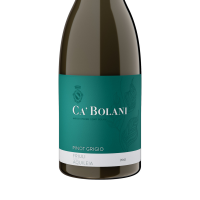 Pinot Grigio 2025