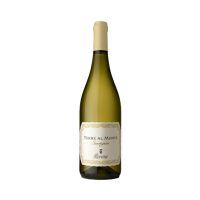 Terre al Monte Sauvignon 2025
